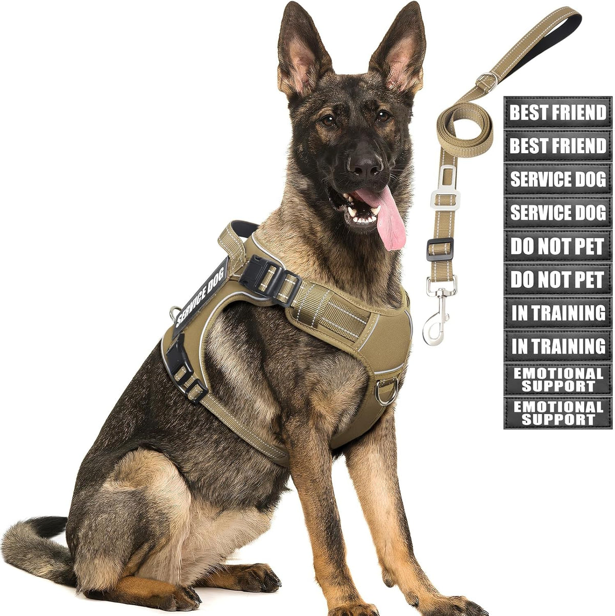 Premium USA imported tactical dog training gear kit with reflective safety stitching details