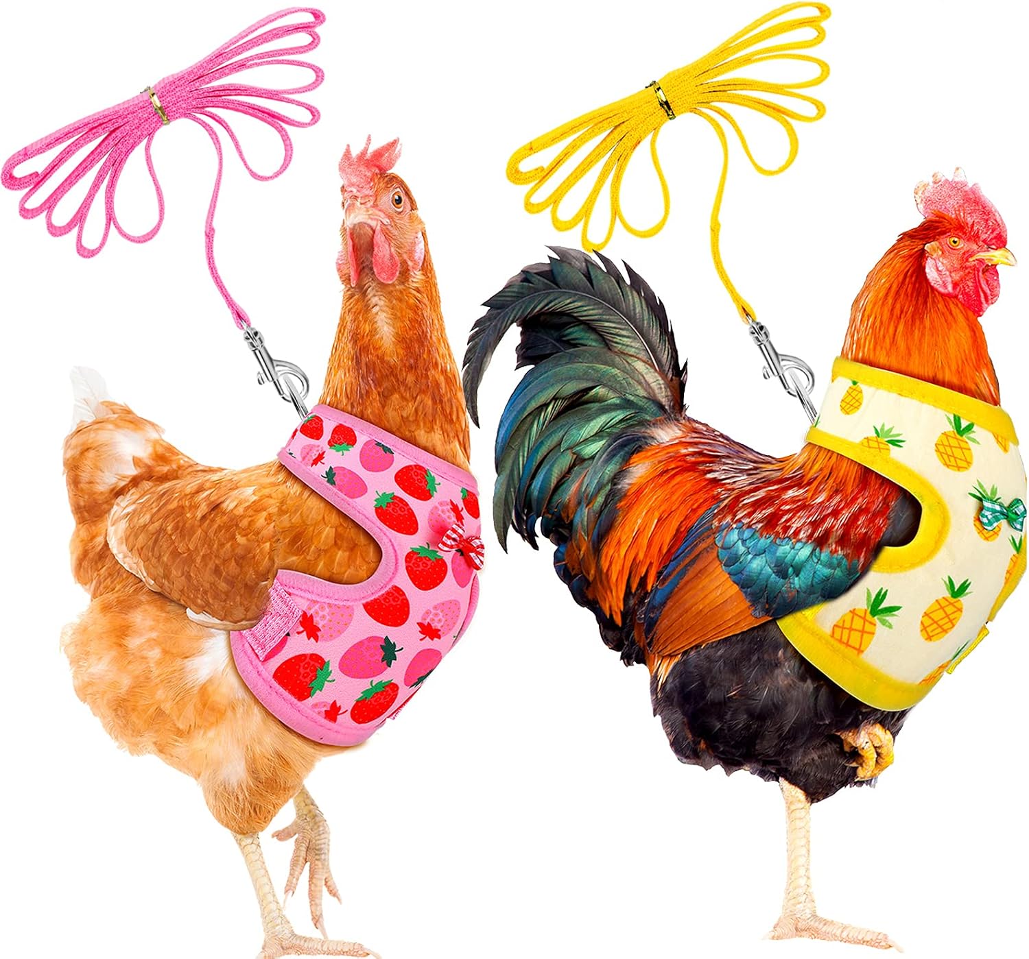 Frienda adjustable chicken harness and leash set front view