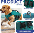 Asenku dog swimming vest side angle lake green dog life preserver