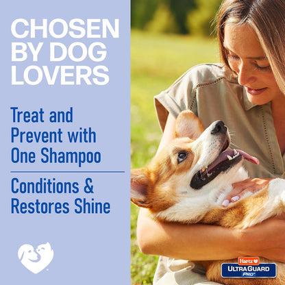 Authentic Hartz dog shampoo for long lasting five day freshness