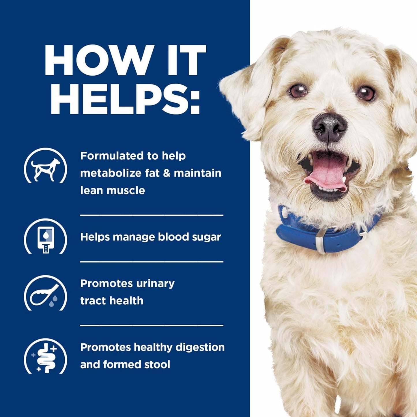 Authentic imported multi-benefit digestive care dog food by Hill's