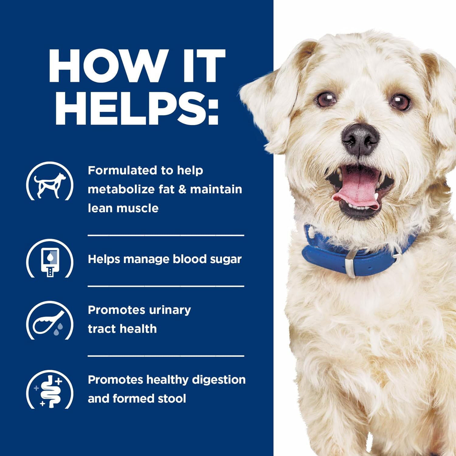 Authentic imported multi-benefit digestive care dog food by Hill's