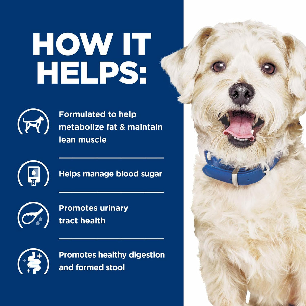 Authentic imported multi-benefit digestive care dog food by Hill's