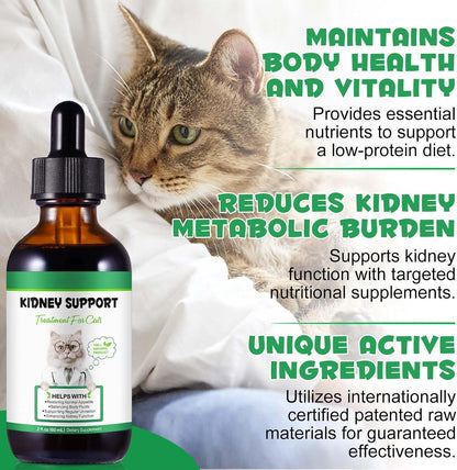 Premium imported USA cat kidney supplement with glass dropper mechanism
