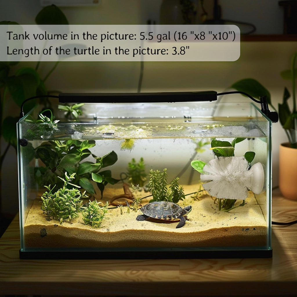 JJMOLLE locking suction cup base detail view turtle shell scratcher