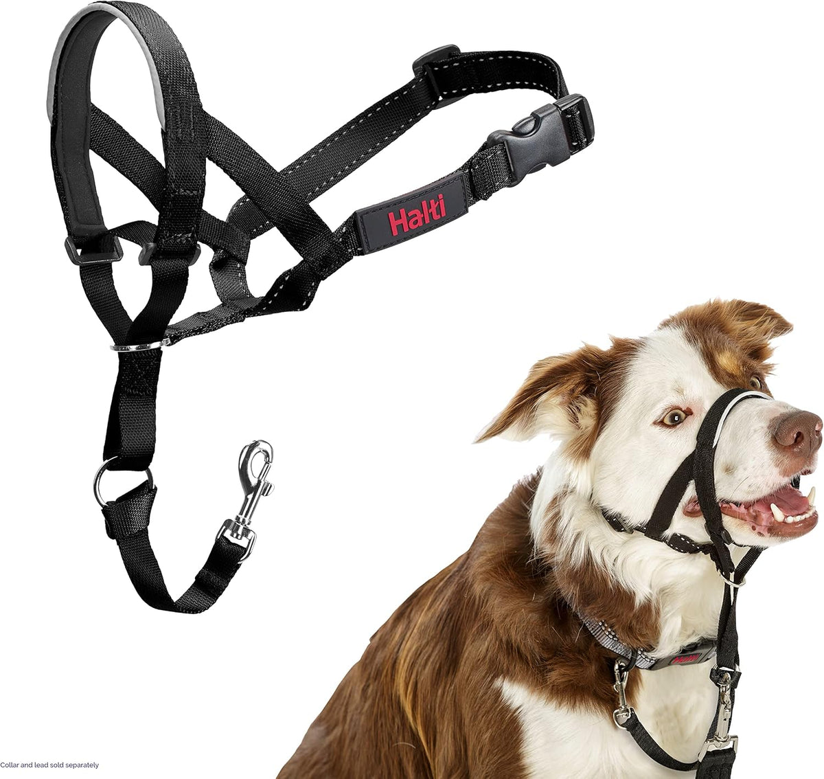 Halti Headcollar - Stop Your Dog Pulling on the Leash. Adjustable, Reflective and Lightweight, with Padded Nose Band. Dog Training Anti-Pull Collar for Medium Dogs (Size 3, Black) - Image 13