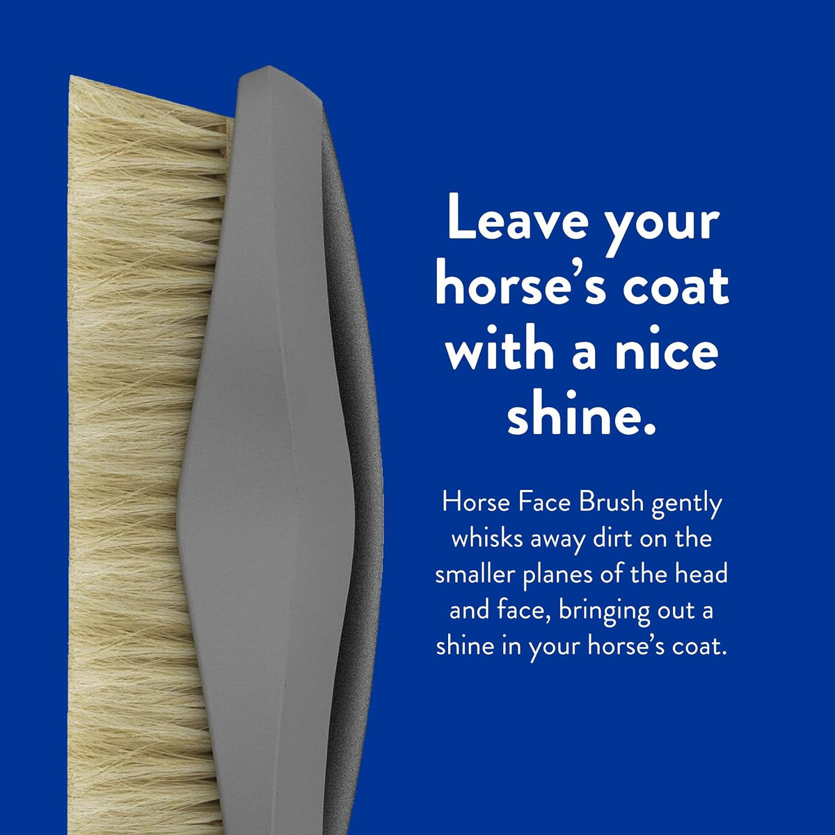 Wahl model 858707 horse brush packaging and branding display
