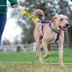 Double-sided leash extension wrap attached to a lead