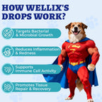Wellix dog urinary tract infection support liquid dropper bottle