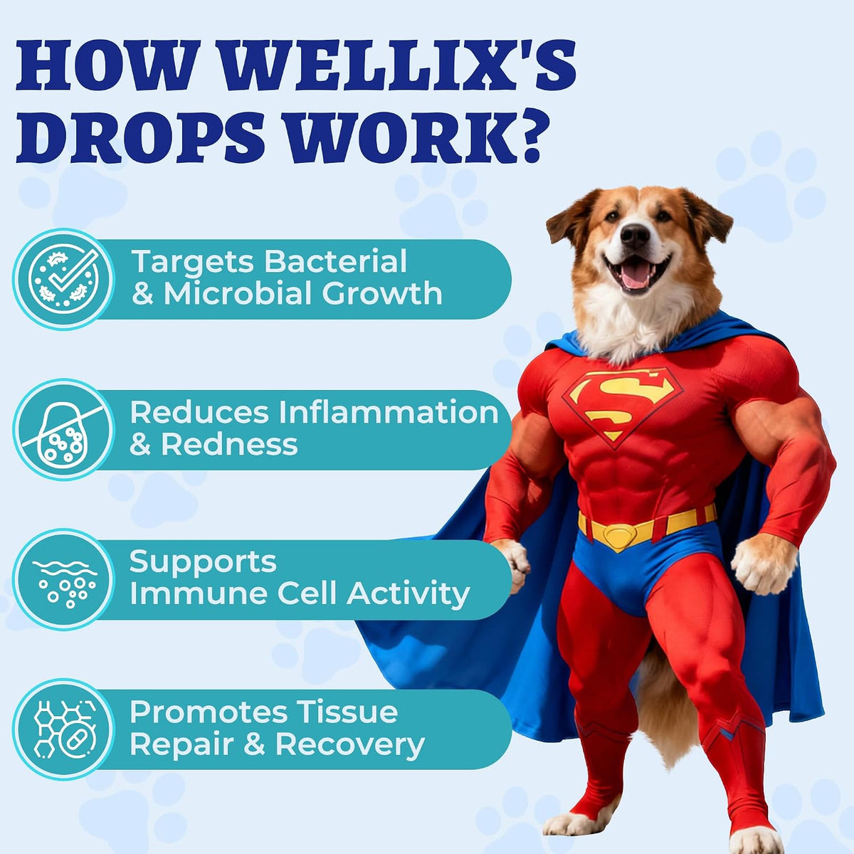 Wellix dog urinary tract infection support liquid dropper bottle