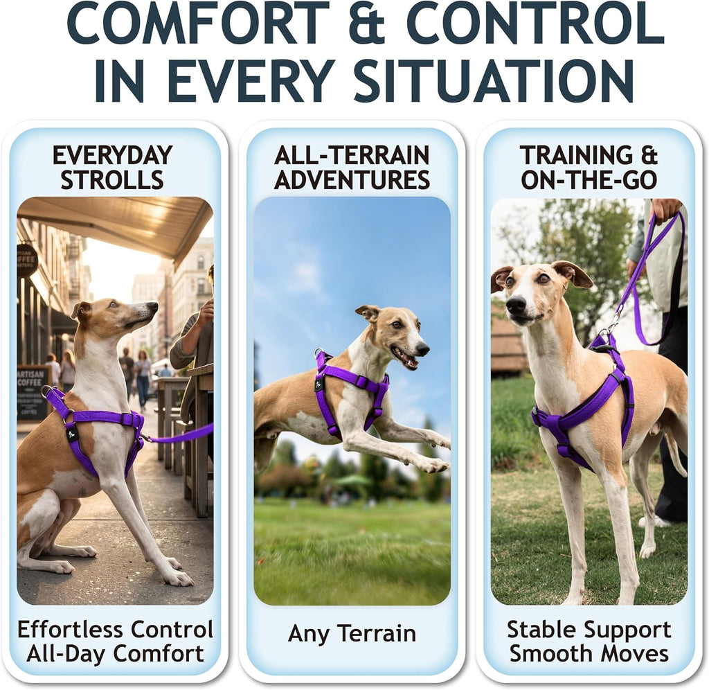 Breathable air mesh texture of Kruz Pet harness