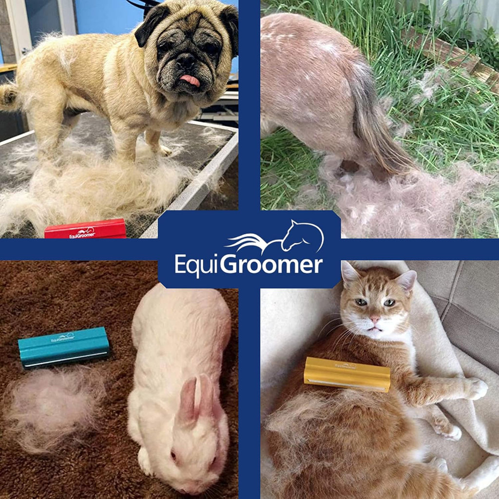 Authentic USA imported EquiGroomer tool for cats and dogs