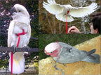 The Aviator bird flight training suit straps