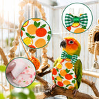 ECNHIVE small bird diaper showing velcro closure straps