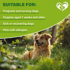Waterproof testing demonstration of Beloved Pets dog collar