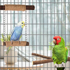 7-Piece Bird Perches for Cage- Wooden Parrot Stand with Fork Toys, Hanging Multi-Branch Platform, Hammock Swing, Gym Playstand & Chewing Toys - for Parakeets, Budgies, Lovebirds - Durable - Image 2