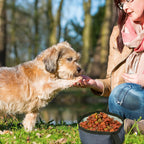 Side view of upright Meanplan collapsible dog food container