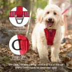 Kurgo pet travel harness five point adjustment detail