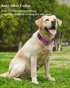 Detail of durable coated nylon material on Kidding Pets collar