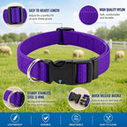 Multi-color assortment of eight sheep collars spread out on a flat surface