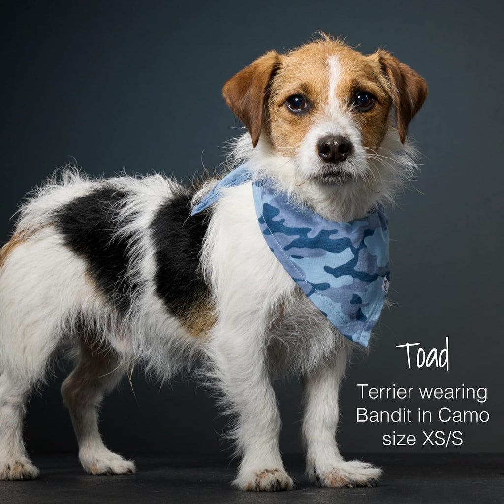 Three pack of Pet Passion organic cotton pet bandanas