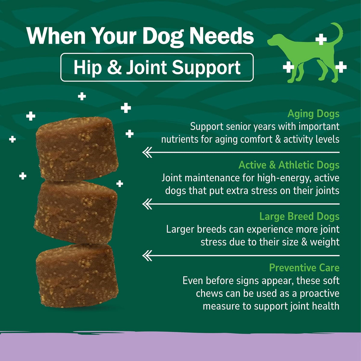 PetNC Natural Care bone and joint support supplement for senior dogs