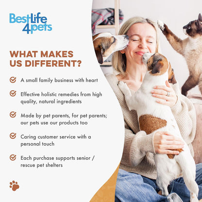 USA imported BestLife4Pets digestive comfort tablets for kittens and senior cats.