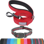 Medium dog walking with Vivaglory 3 foot padded leash