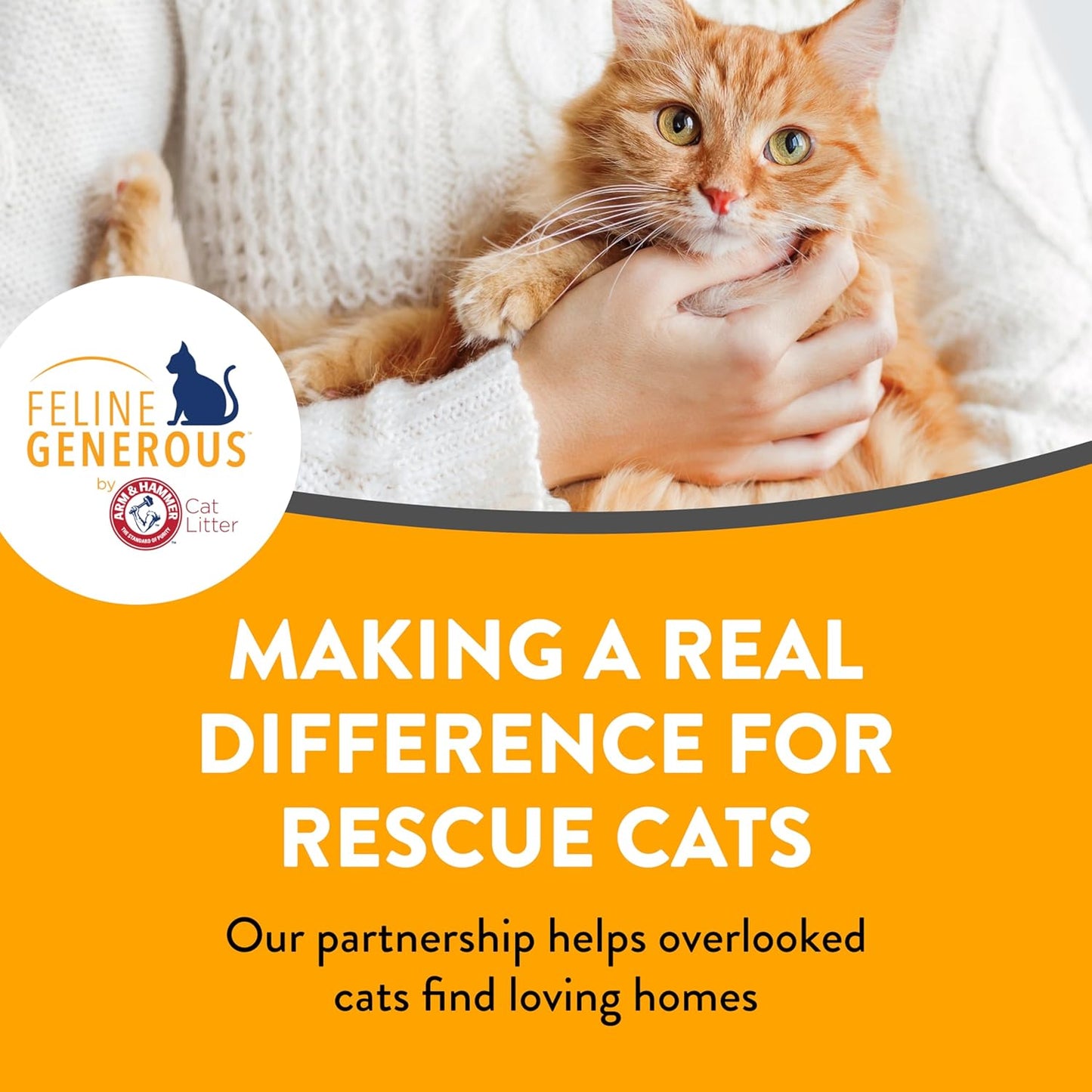 Lifestyle shot of premium cat litter box maintenance