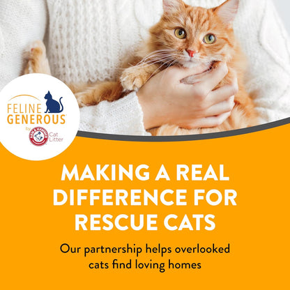 Lifestyle shot of premium cat litter box maintenance