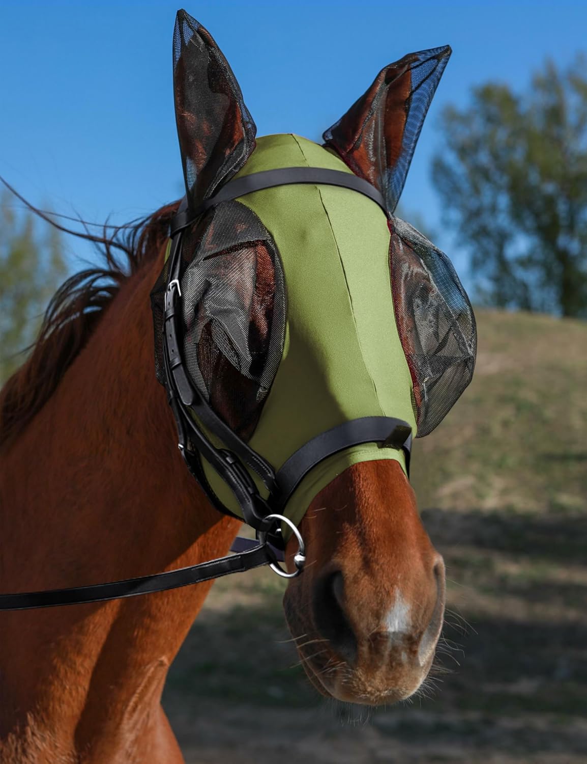 Full size HackFond fly mask for horses in royal blue