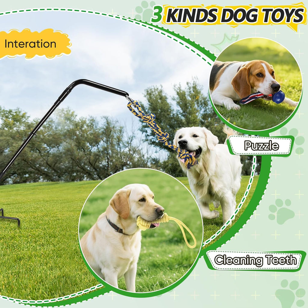 HVDI interactive dog play pole adjusted to fifty five inches height next to a medium sized dog