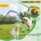 HVDI interactive dog play pole adjusted to fifty five inches height next to a medium sized dog