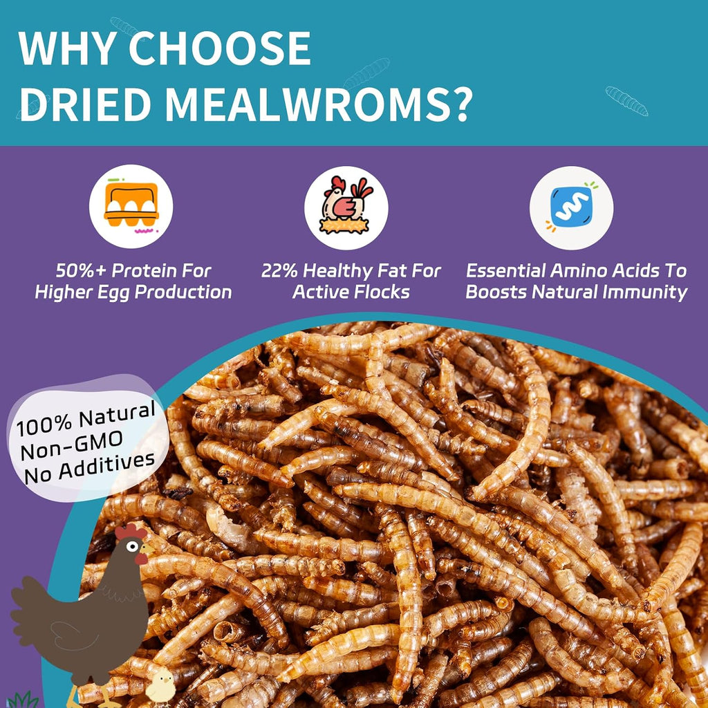 2LB Dried Mealworms for Chickens - 52% Protein for Growth - Image 2