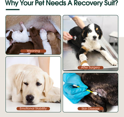 Kuoser surgical puppy apparel flat lay showcasing all six available sizes