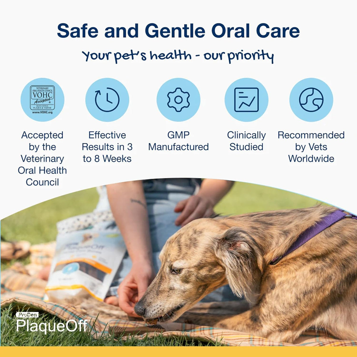 ProDen PlaqueOff dental chews for medium and large dogs