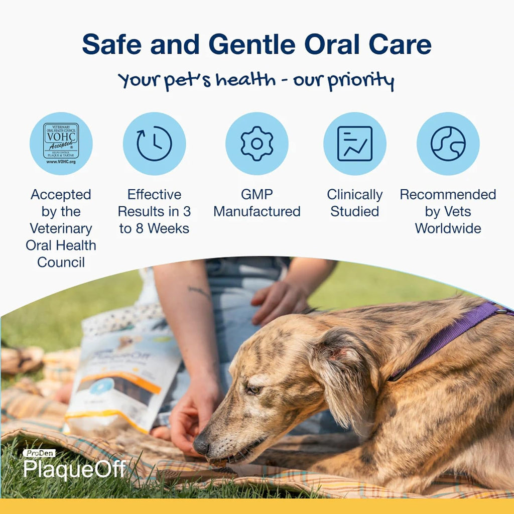 ProDen PlaqueOff dental chews for small dog teeth
