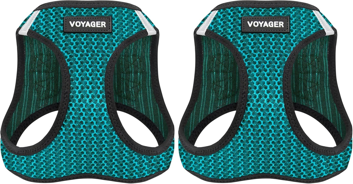 Best Pet Supplies Voyager Step-in Air Harness - All Weather Mesh, Reflective, No Pull Harness for Dogs, Cats - Secure with Hook & Loop Fastener, Buckle, Double D-Rings - Fuchsia, S - Image 12