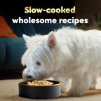 Premium slow cooked soft dog food tray showing carrot and green bean ingredients.