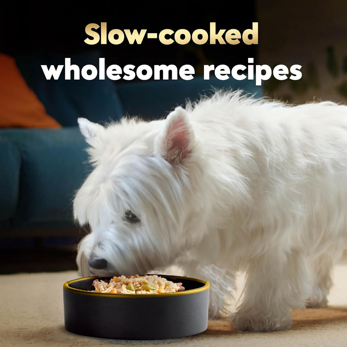 Premium slow cooked soft dog food tray showing carrot and green bean ingredients.