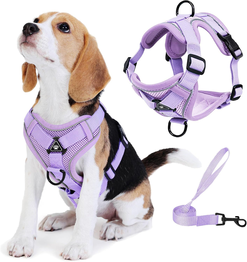 Packaging layout of the imported Jolifield no choke dog harness and leash set in blue size small
