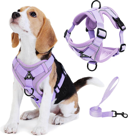 Packaging layout of the imported Jolifield no choke dog harness and leash set in blue size small
