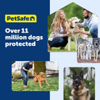 PetSafe Guardian GPS 2.0 Dog Fence + Tracking Wireless Dog Fence with Reliable Dual Frequency GPS Tracking Smaller Collar for All Breeds 10 lbs and Above Subscription Required - Image 10