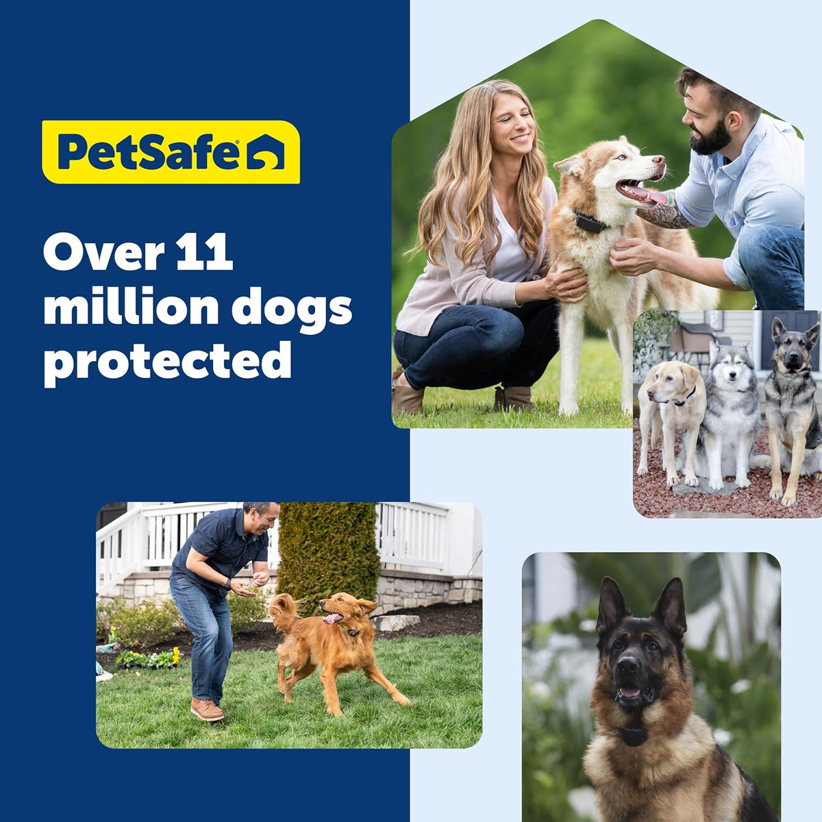 PetSafe Guardian GPS 2.0 Dog Fence + Tracking Wireless Dog Fence with Reliable Dual Frequency GPS Tracking Smaller Collar for All Breeds 10 lbs and Above Subscription Required - Image 10