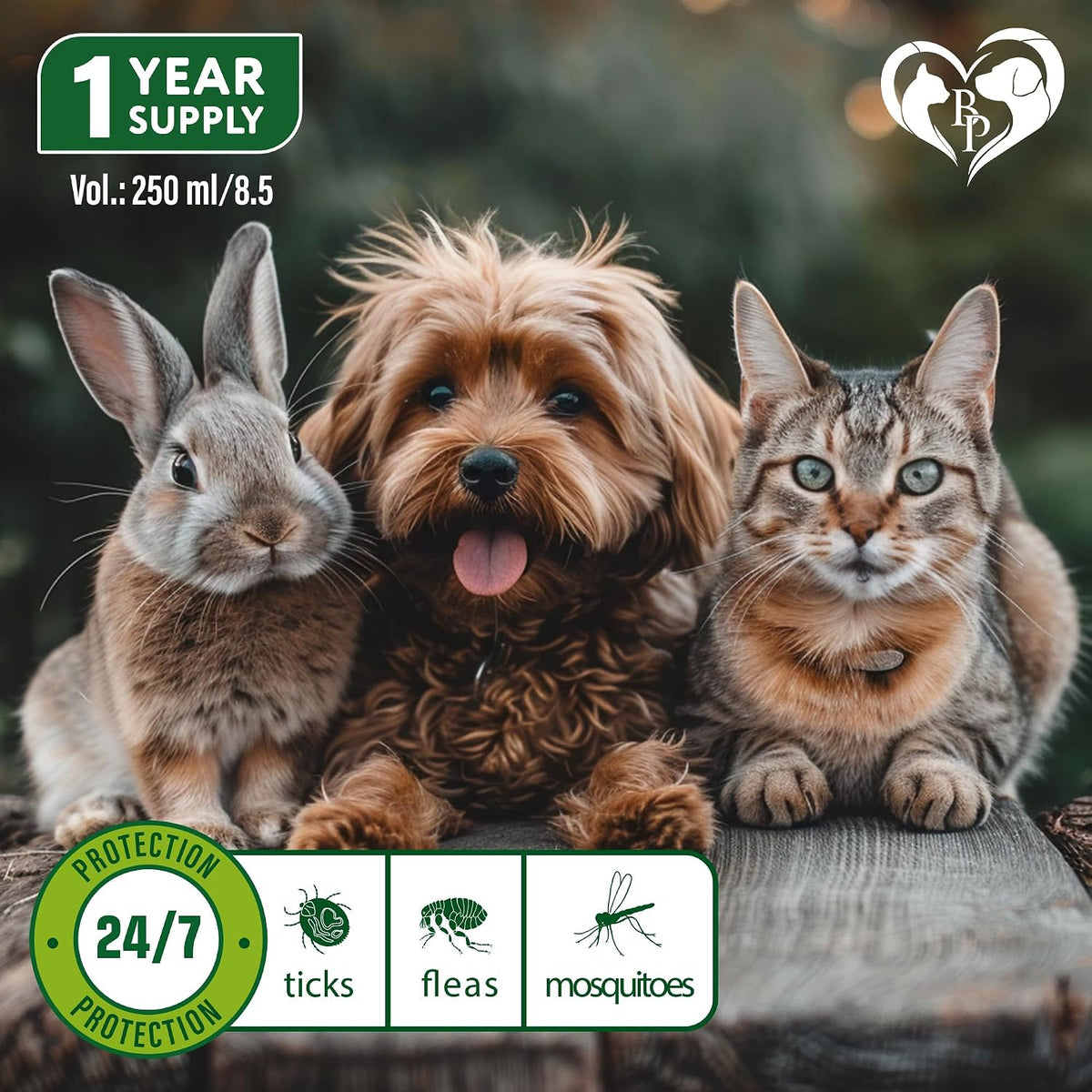 Beloved Pets organic pet pest control spray application on carpet