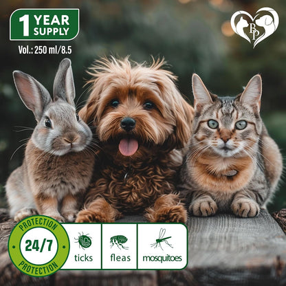 Beloved Pets organic pet pest control spray application on carpet