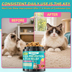 Woyamay Flea Treatment for Cats & Itch Relief Chews, 500 Crunchy Cat Flea Treatment Chews, Cat Itchy Skin Relief, Cat Itching Relief & Skin Care, Flea Prevention for Cats, Chicken Flavor - Image 11