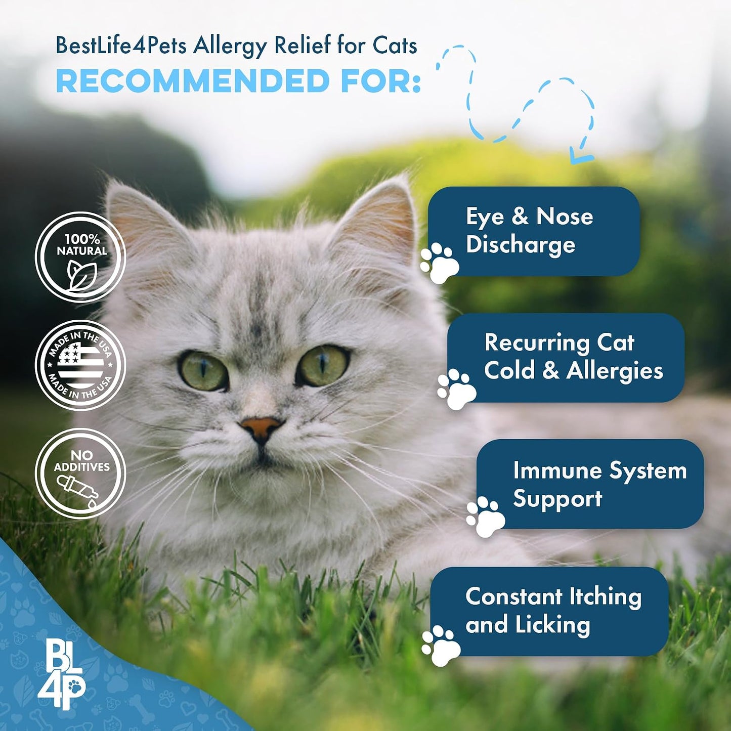 Infographic demonstrating how to crush the homeopathic cat allergy relief pills into wet pet food.