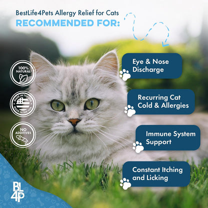 Infographic demonstrating how to crush the homeopathic cat allergy relief pills into wet pet food.