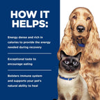 Hill's prescription critical nutrition formulation for post surgery pet health